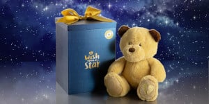 Wish Upon a Star Teddy Bear and Box-