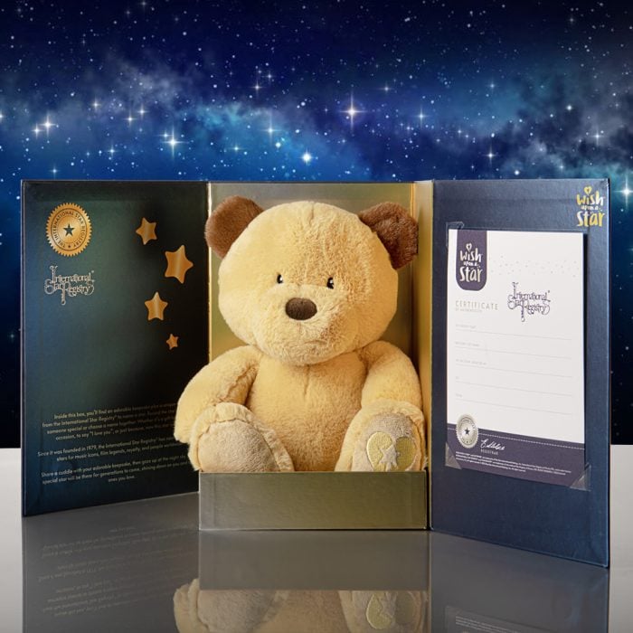 Stuffed bear in a blue star themed package