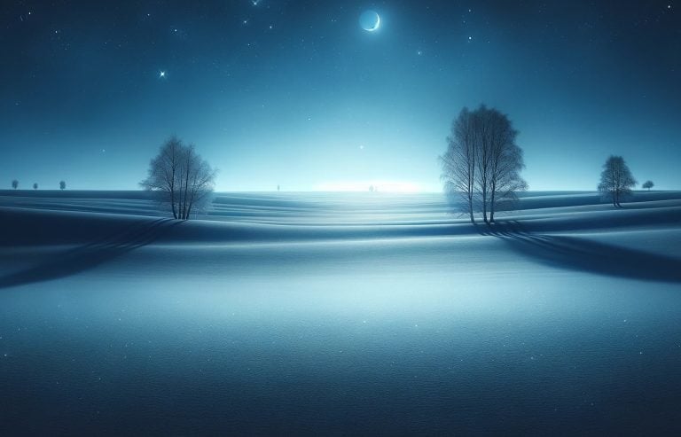 a blue starry sky over a snowy field in February